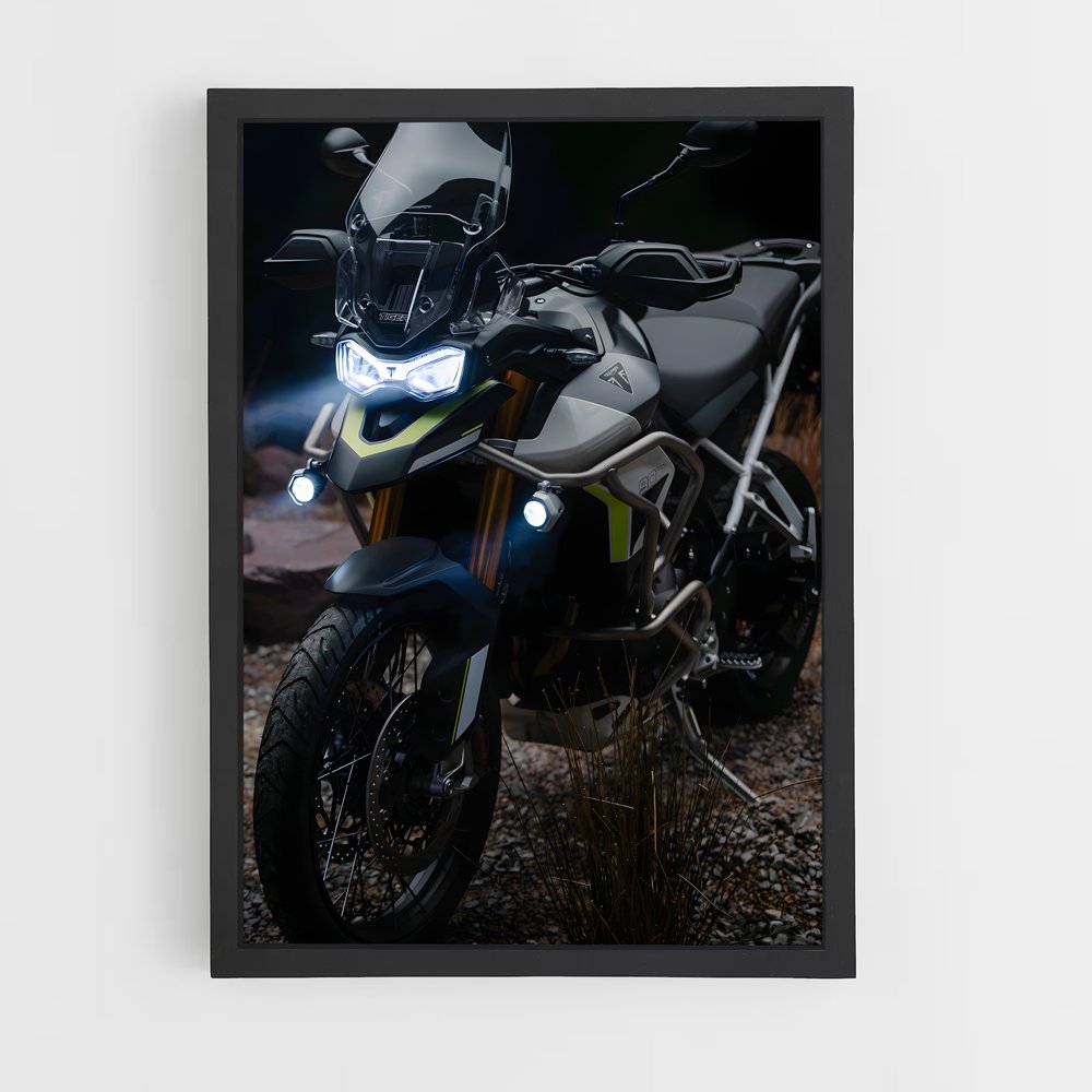 Poster Félin Éblouissant 900 – affiche Triumph (vue 2)